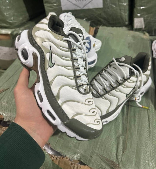 Tn olive